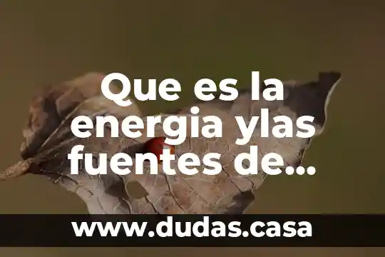 Que es la energia ylas fuentes de energia