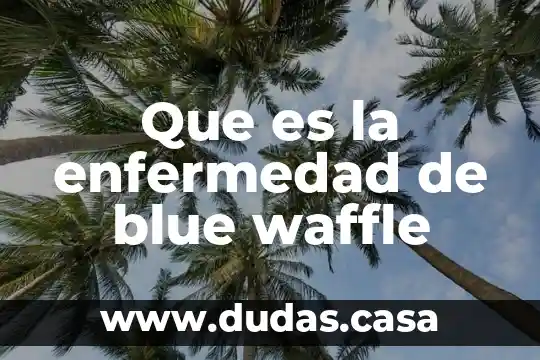Que es la enfermedad de blue waffle