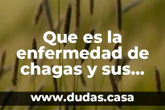 Que es la enfermedad de chagas y sus sintomas