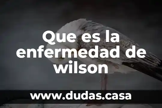 Que es la enfermedad de wilson