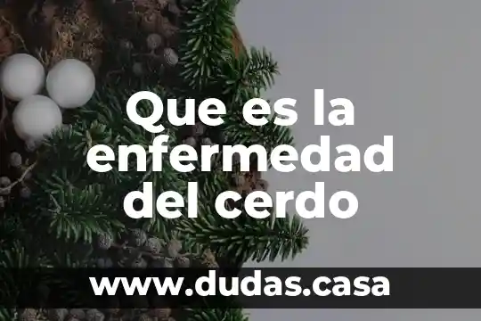 Que es la enfermedad del cerdo
