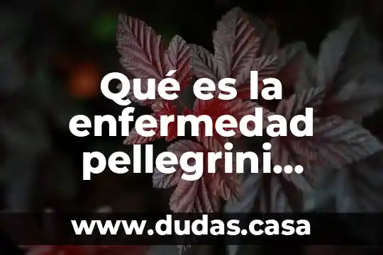 Qué es la enfermedad pellegrini stieda