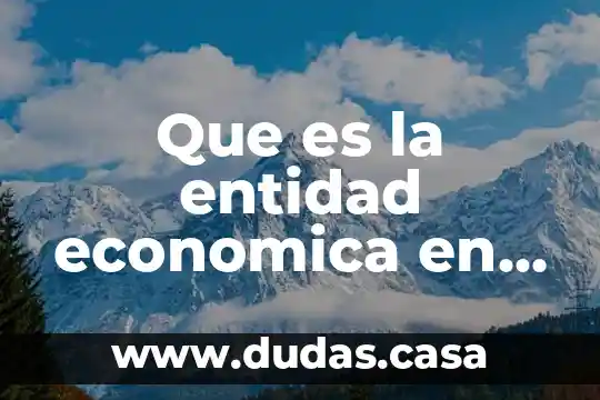 Que es la entidad economica en contabilidad