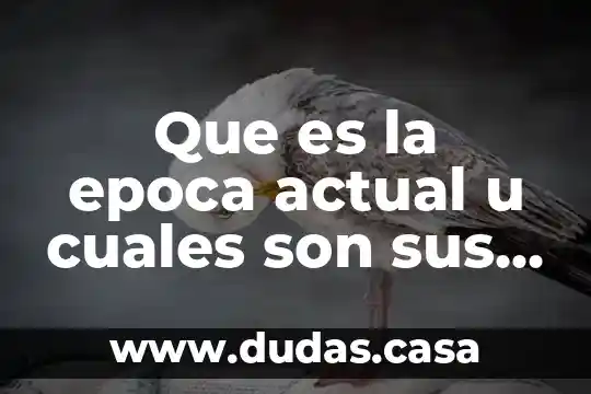 Que es la epoca actual u cuales son sus caracteristicas