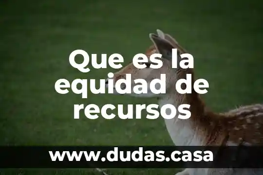 Que es la equidad de recursos