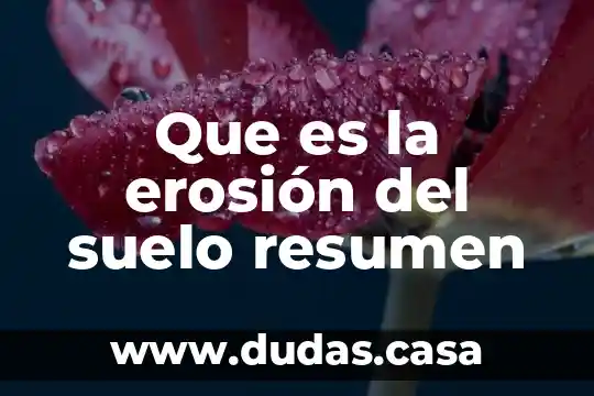 Que es la erosión del suelo resumen