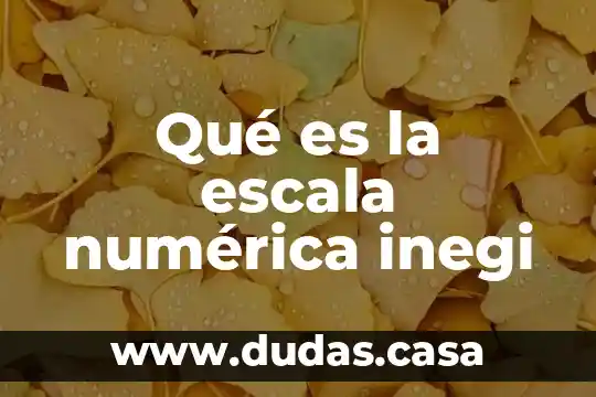 Qué es la escala numérica inegi