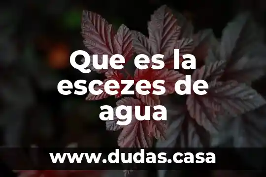 Que es la escezes de agua