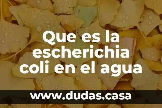 Que es la escherichia coli en el agua