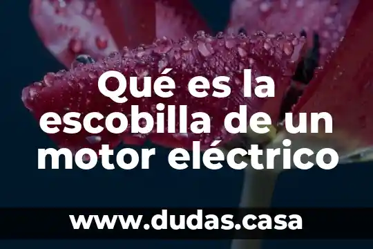 Qué es la escobilla de un motor eléctrico