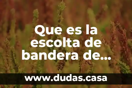 Que es la escolta de bandera de mexico