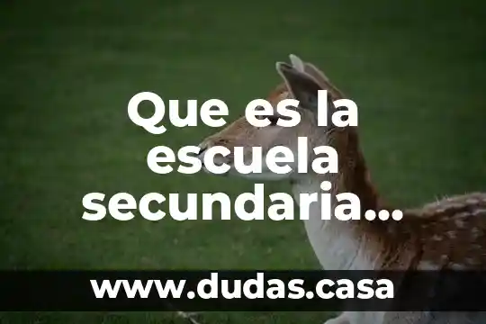 Que es la escuela secundaria segun autores