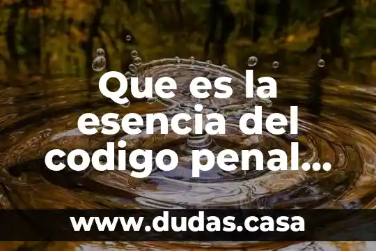 Que es la esencia del codigo penal aleman