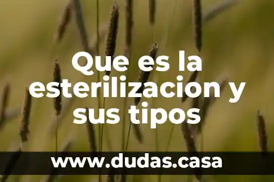 Que es la esterilizacion y sus tipos