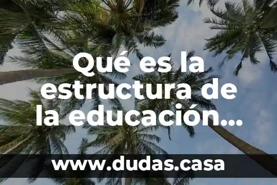 Qué es la estructura de la educación básica
