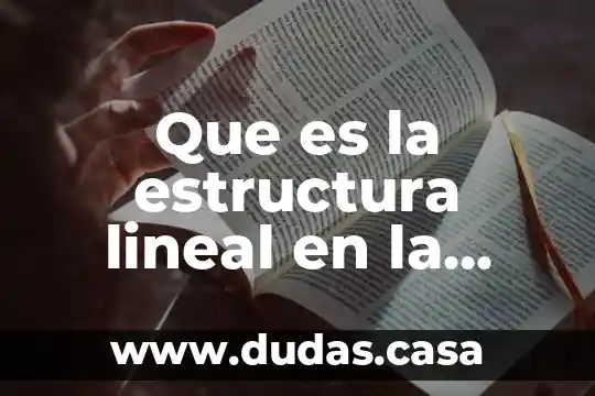 Que es la estructura lineal en la novela