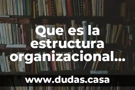 Que es la estructura organizacional en trabajo social