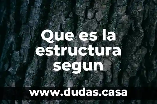 Que es la estructura segun