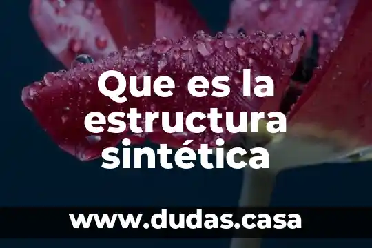 Que es la estructura sintética