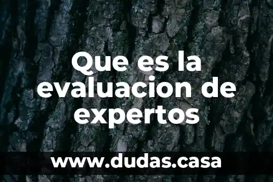 Que es la evaluacion de expertos