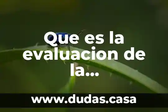 Que es la biotecnologia y que estudia 3 Que es la evaluacion de la biotecnologia