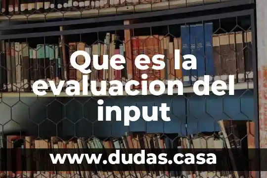 Que es la evaluacion del input