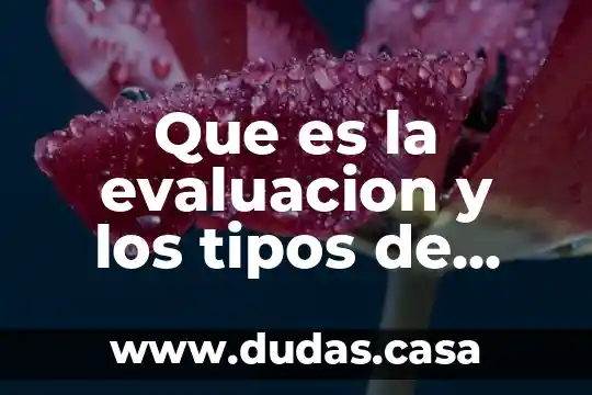 Que es la evaluacion y los tipos de evaluacion