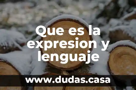 Que es la expresion y lenguaje