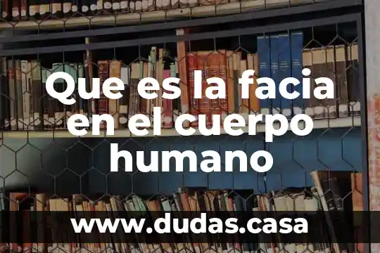 Que es la facia en el cuerpo humano