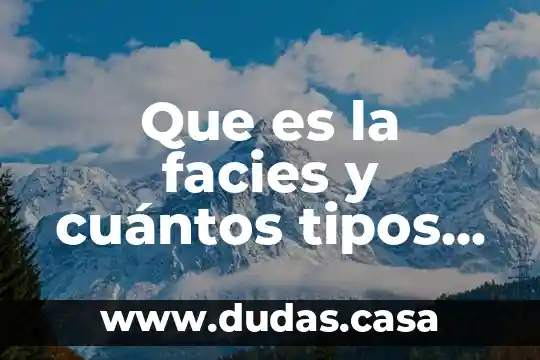 Que es la facies y cuántos tipos hay