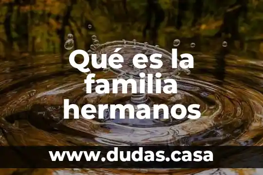Qué es la familia hermanos
