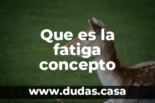 Que es la fatiga concepto