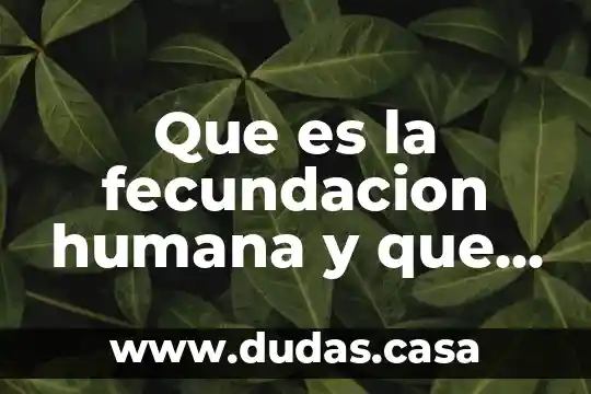 Que es la fecundacion humana y que celulas participan