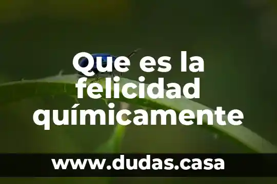 Que es la felicidad químicamente