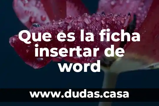 Que es la ficha insertar de word