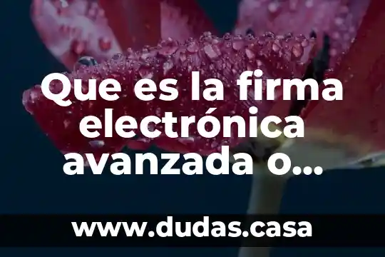 Que es la firma electrónica avanzada o fiable