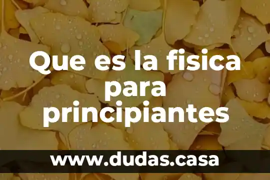 Que es la fisica para principiantes