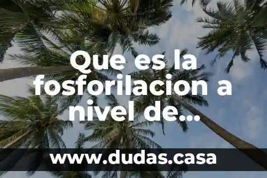 Que es la fosforilacion a nivel de sustrato