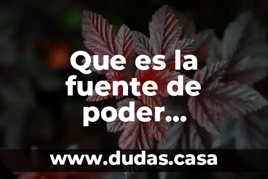 Que es la fuente de poder estructura interna