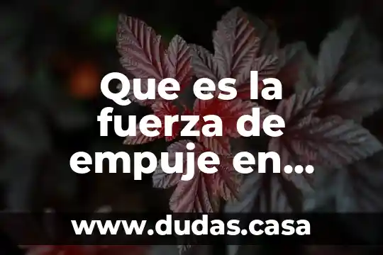 Que es la fuerza de empuje en fisica