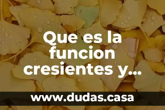 Que es la funcion cresientes y decrecimientos