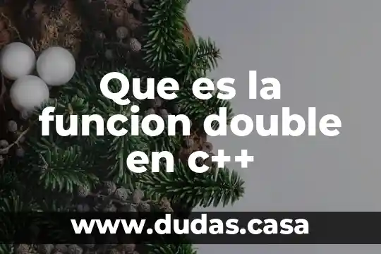 Que es la funcion double en c++