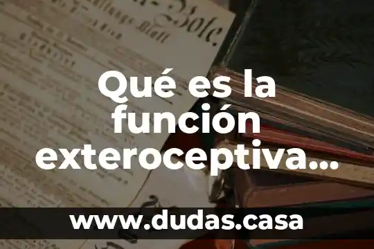 Qué es la función exteroceptiva de la piel
