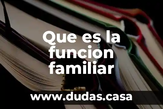 Que es la funcion familiar