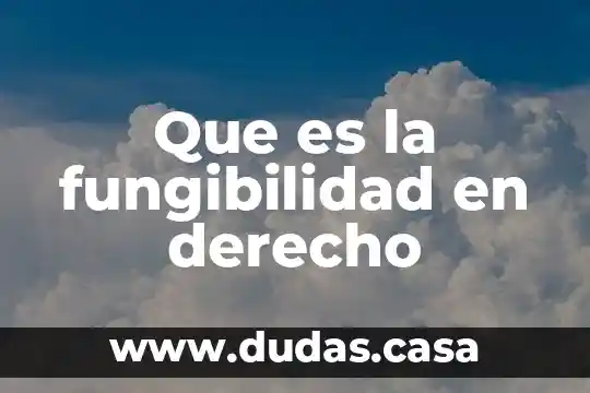 Que es la fungibilidad en derecho