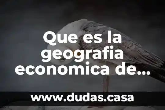 Que es la geografia economica de mexico