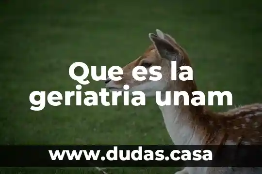 Que es la geriatria unam