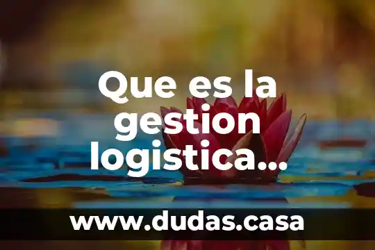 Que es la gestion logistica internacional