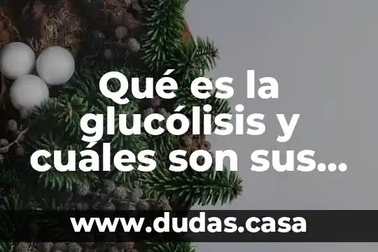 Qué es la glucólisis y cuáles son sus reacciones
