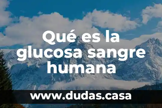Qué es la glucosa sangre humana